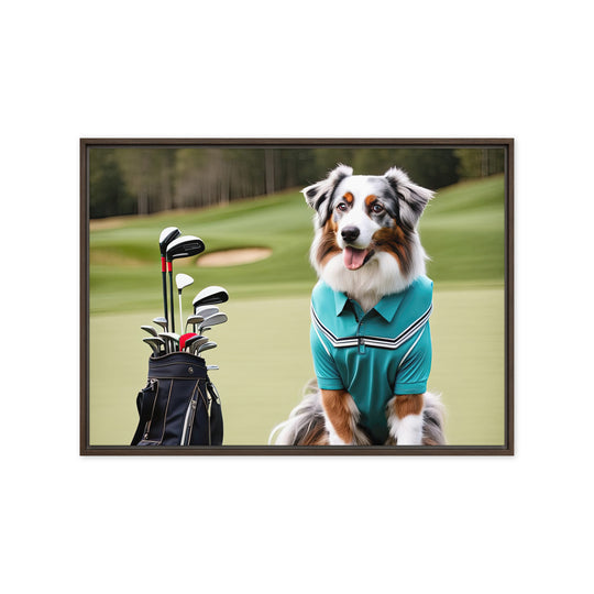 Australian Shepherd Golfer- Framed canvas v4