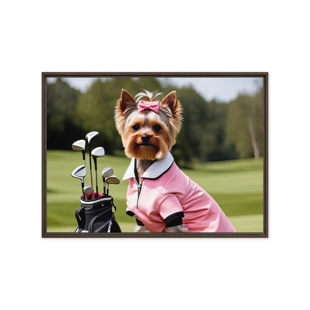 Yorkshire Terrier Golfer- Framed canvas v2