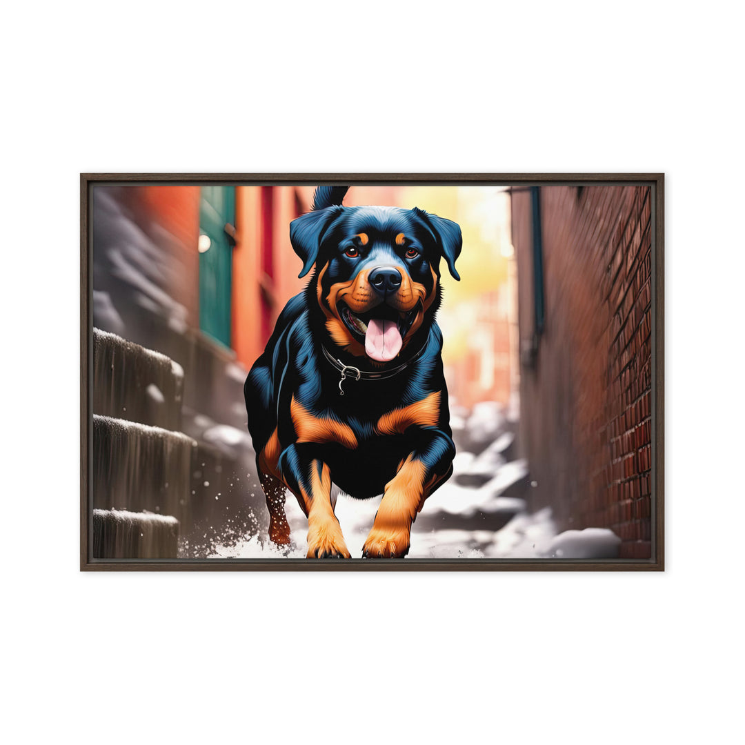 Rottweiler- Framed canvas v2