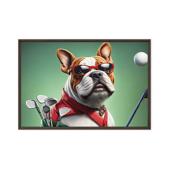 Bulldog Golfer- Framed canvas