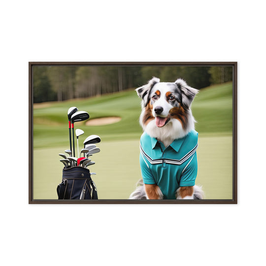 Australian Shepherd Golfer- Framed canvas v4