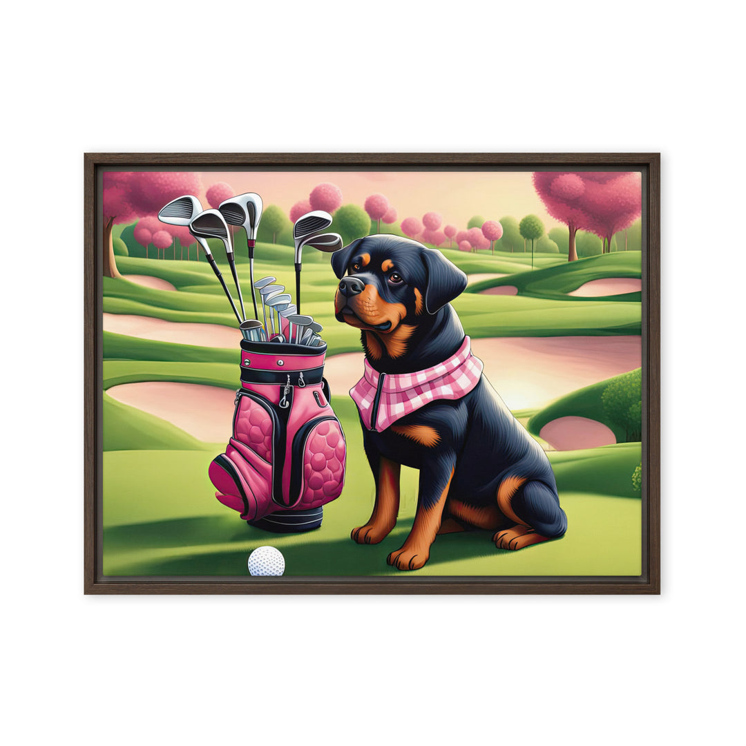 Rottweiler Golfer- Framed canvas