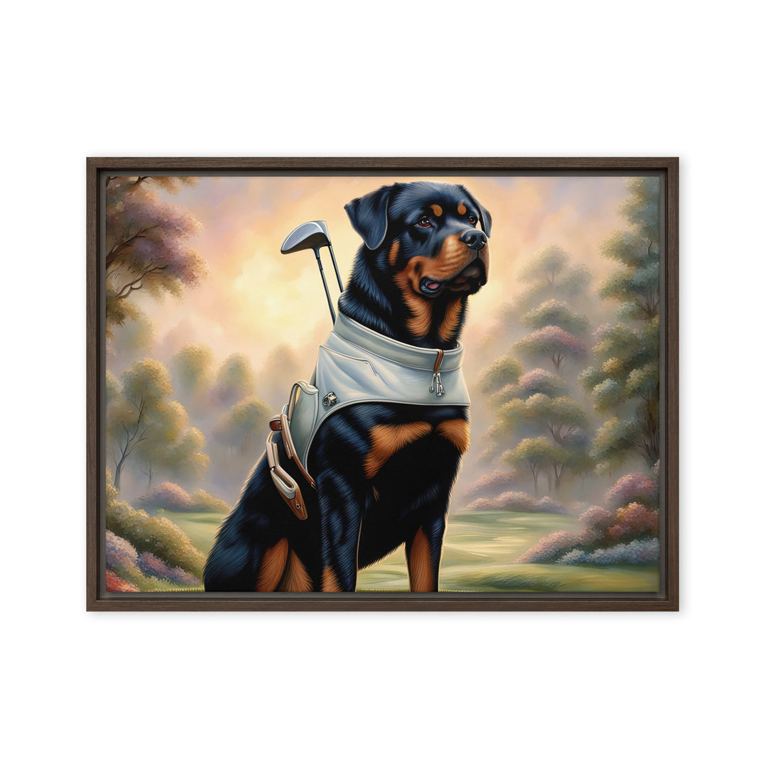 Rottweiler Golfer- Framed canvas v2