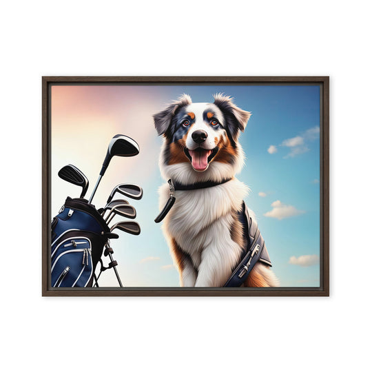 Australian Shepherd Golfer- Framed canvas