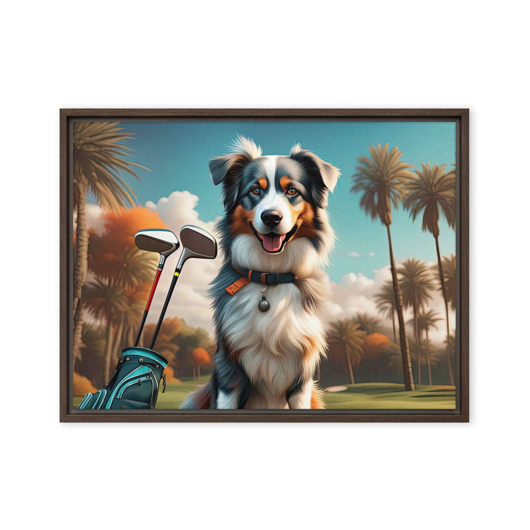 Australian Shepherd Golfer- Framed canvas v2