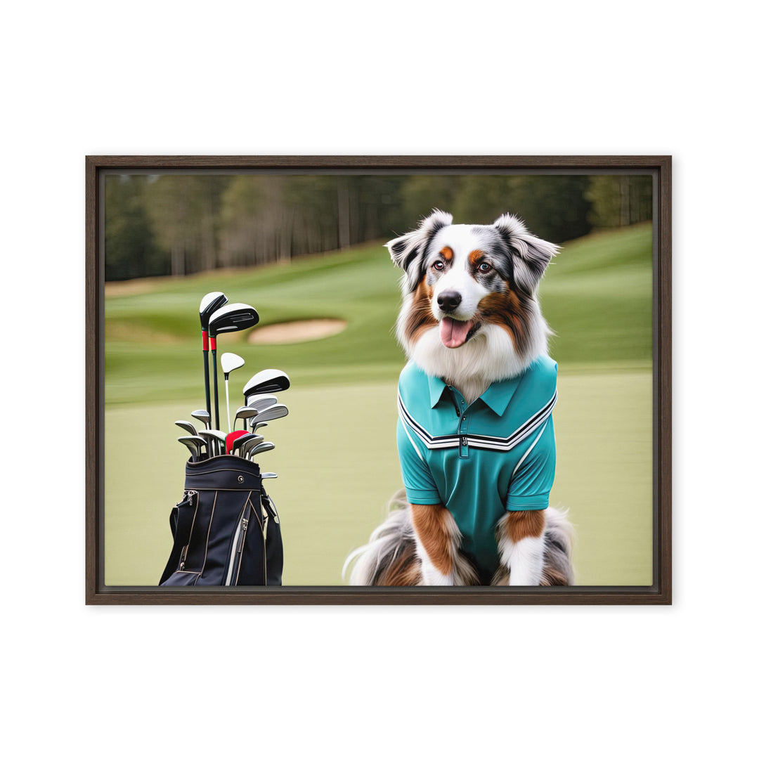 Australian Shepherd Golfer- Framed canvas v4