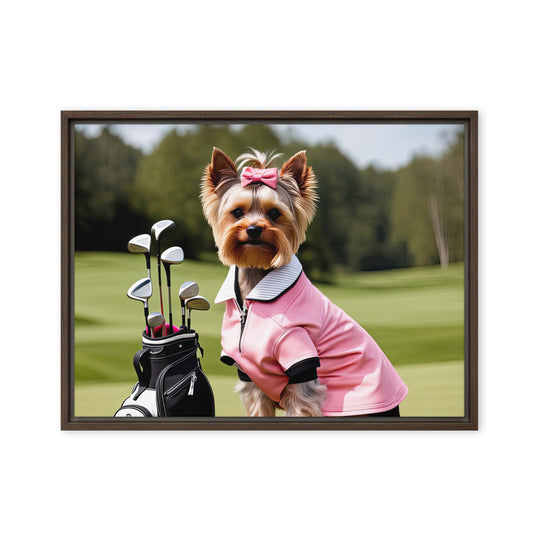 Yorkshire Terrier Golfer- Framed canvas v2