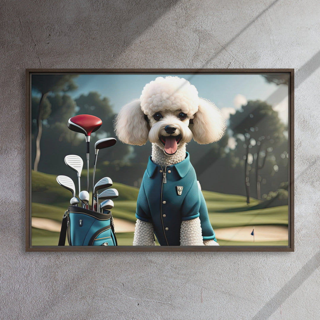 Poodle Golfer- Framed canvas