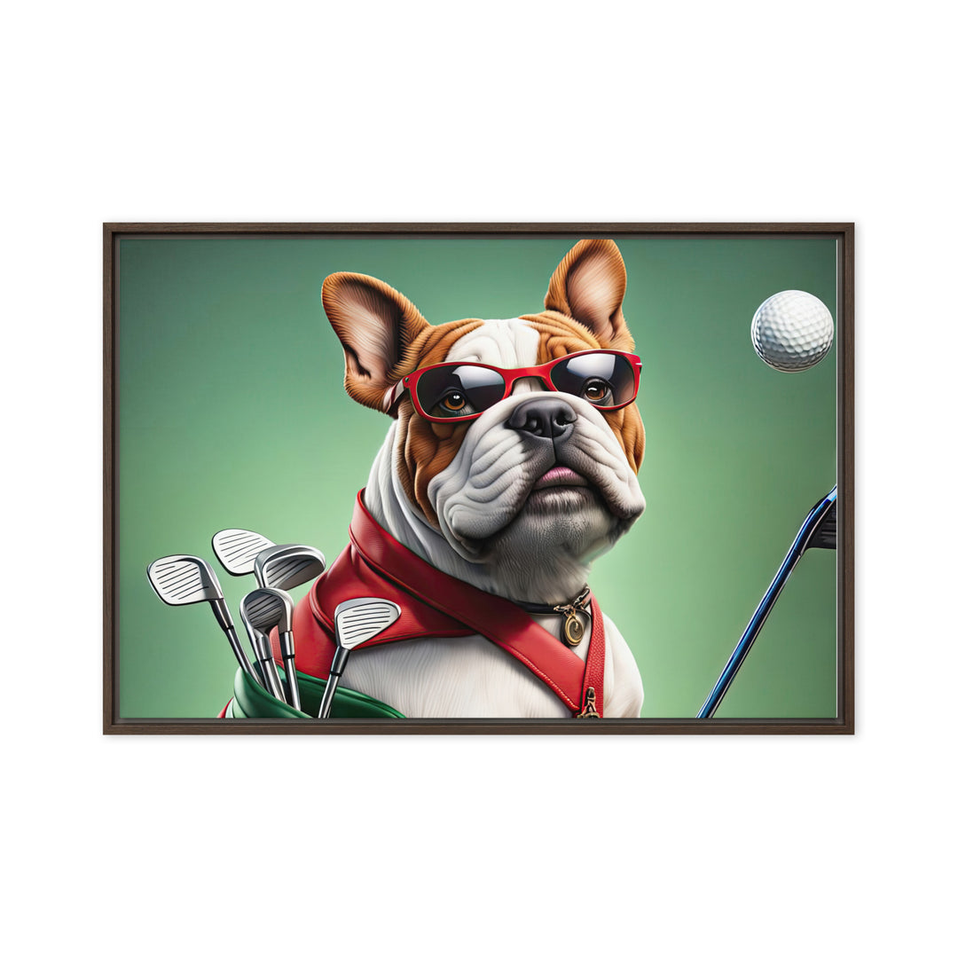 Bulldog Golfer- Framed canvas