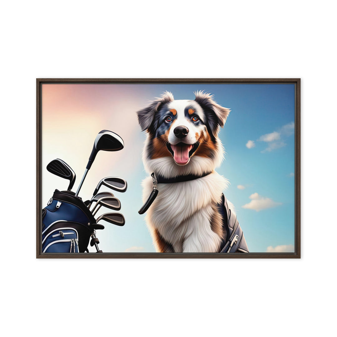 Australian Shepherd Golfer- Framed canvas