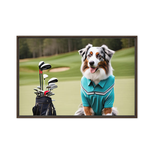 Australian Shepherd Golfer- Framed canvas v4