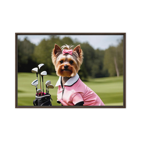 Yorkshire Terrier Golfer- Framed canvas v2