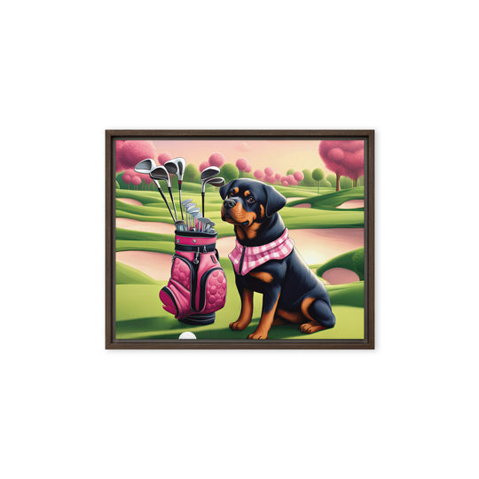 Rottweiler Golfer- Framed canvas