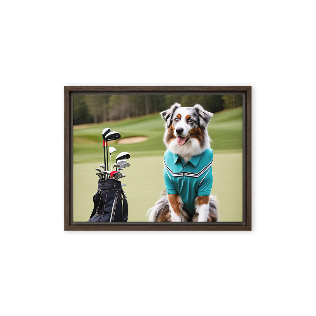 Australian Shepherd Golfer- Framed canvas v4