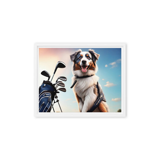 Australian Shepherd Golfer- Framed canvas