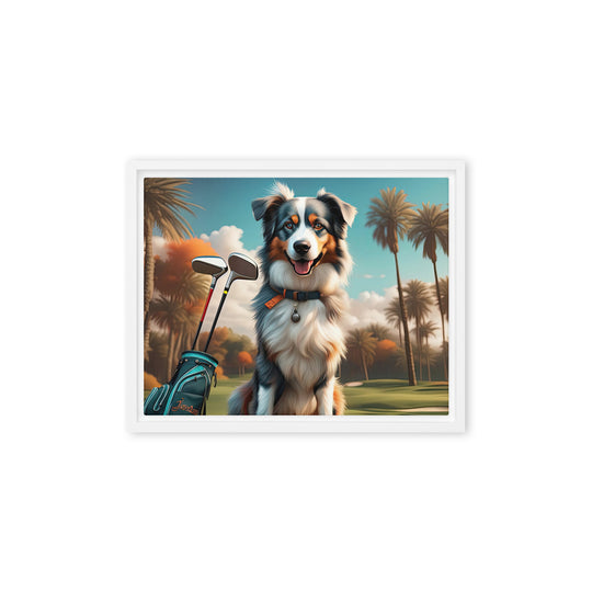 Australian Shepherd Golfer- Framed canvas v2