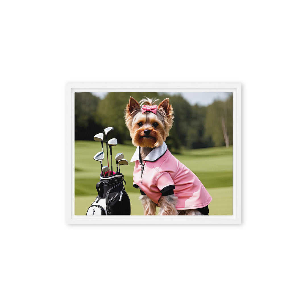 Yorkshire Terrier Golfer- Framed canvas v2