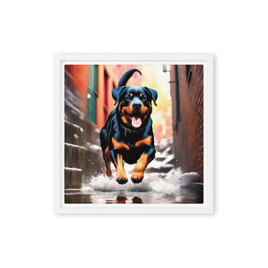 Rottweiler- Framed canvas v2