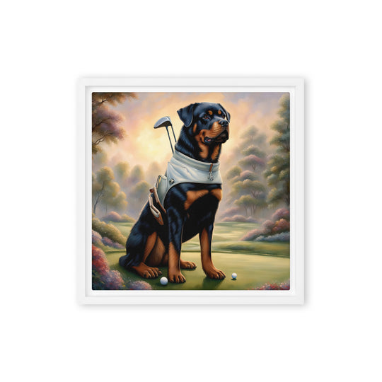 Rottweiler Golfer- Framed canvas v2