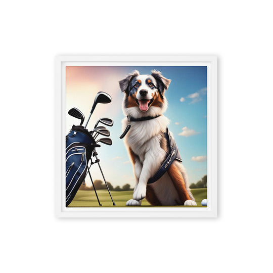 Australian Shepherd Golfer- Framed canvas