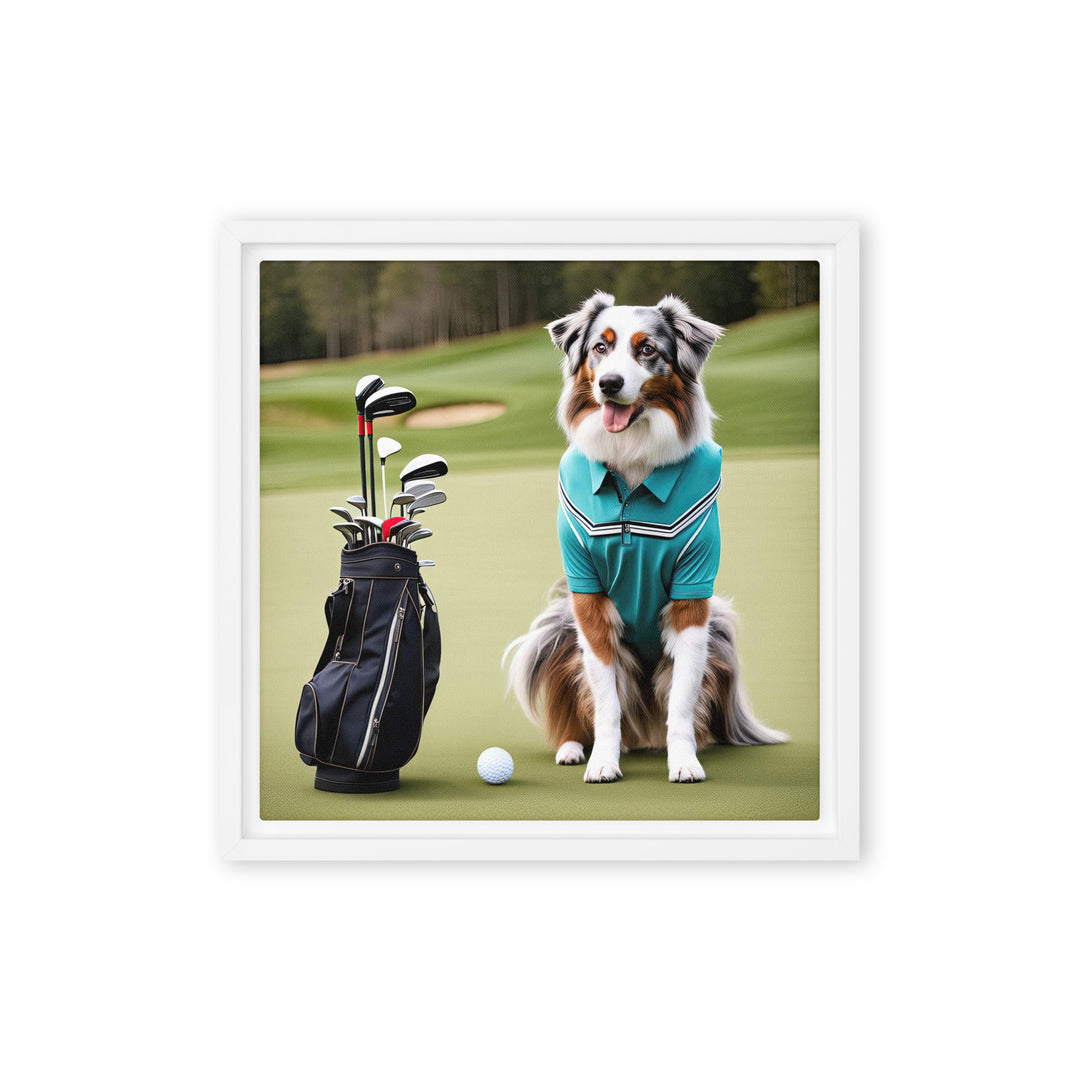 Australian Shepherd Golfer- Framed canvas v4