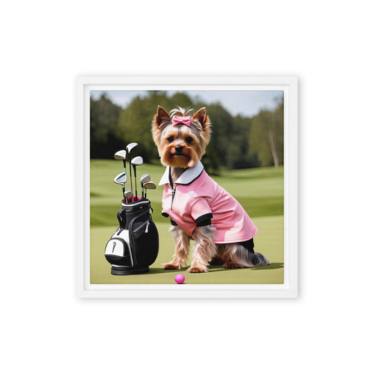 Yorkshire Terrier Golfer- Framed canvas v2