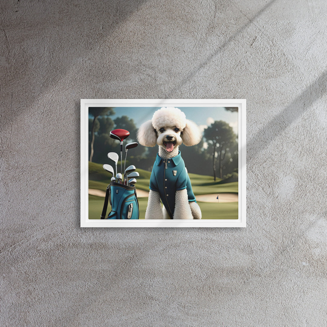 Poodle Golfer- Framed canvas