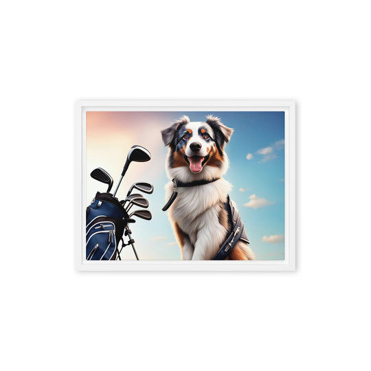 Australian Shepherd Golfer- Framed canvas