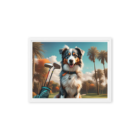 Australian Shepherd Golfer- Framed canvas v2