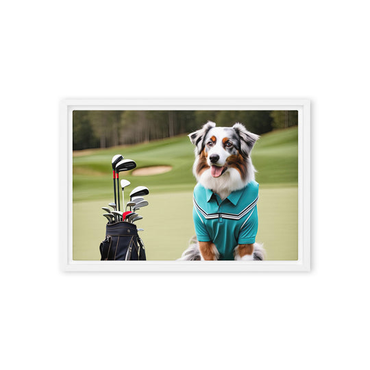 Australian Shepherd Golfer- Framed canvas v4