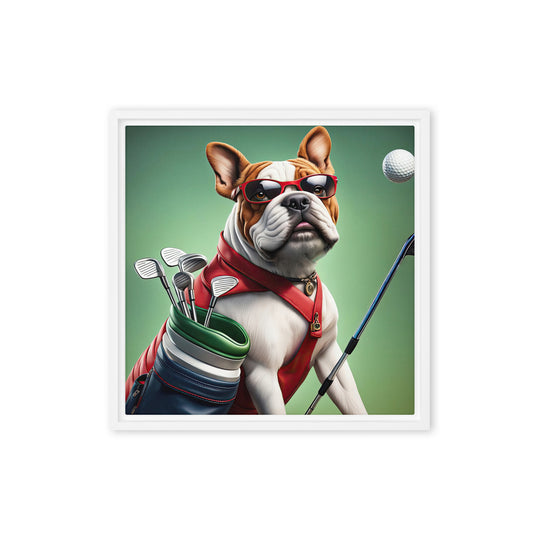 Bulldog Golfer- Framed canvas