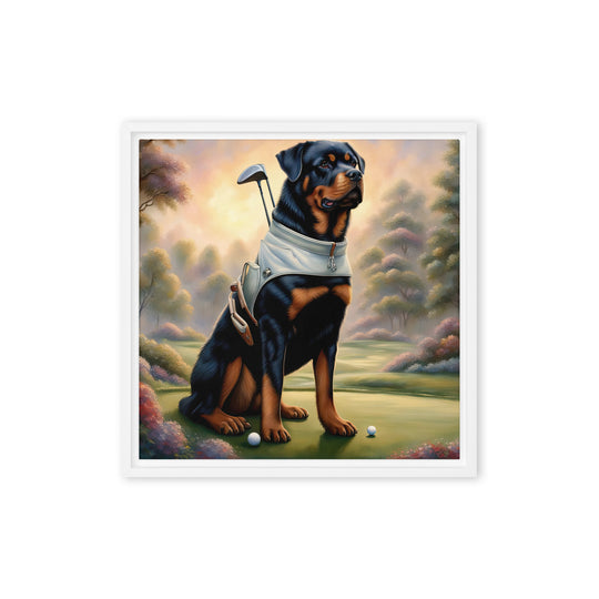 Rottweiler Golfer- Framed canvas v2