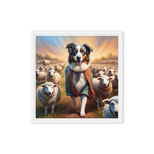 Australian Shepherd- Framed canvas