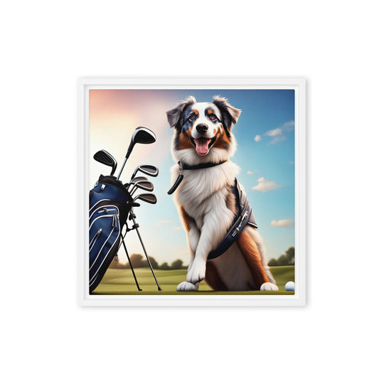 Australian Shepherd Golfer- Framed canvas