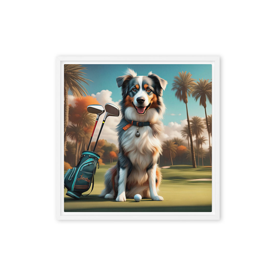 Australian Shepherd Golfer- Framed canvas v2