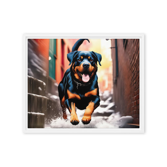 Rottweiler- Framed canvas v2