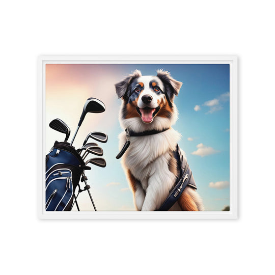 Australian Shepherd Golfer- Framed canvas