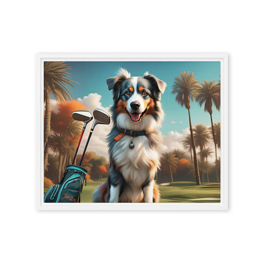 Australian Shepherd Golfer- Framed canvas v2