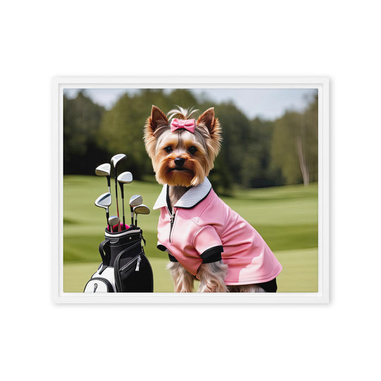 Yorkshire Terrier Golfer- Framed canvas v2