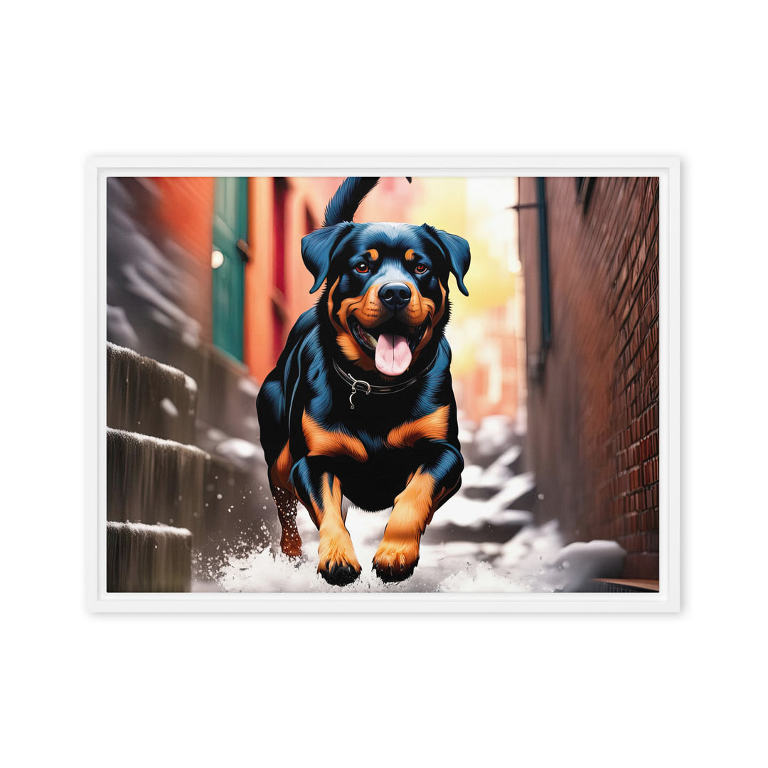 Rottweiler- Framed canvas v2