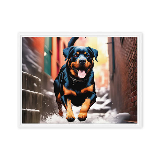 Rottweiler- Framed canvas v2