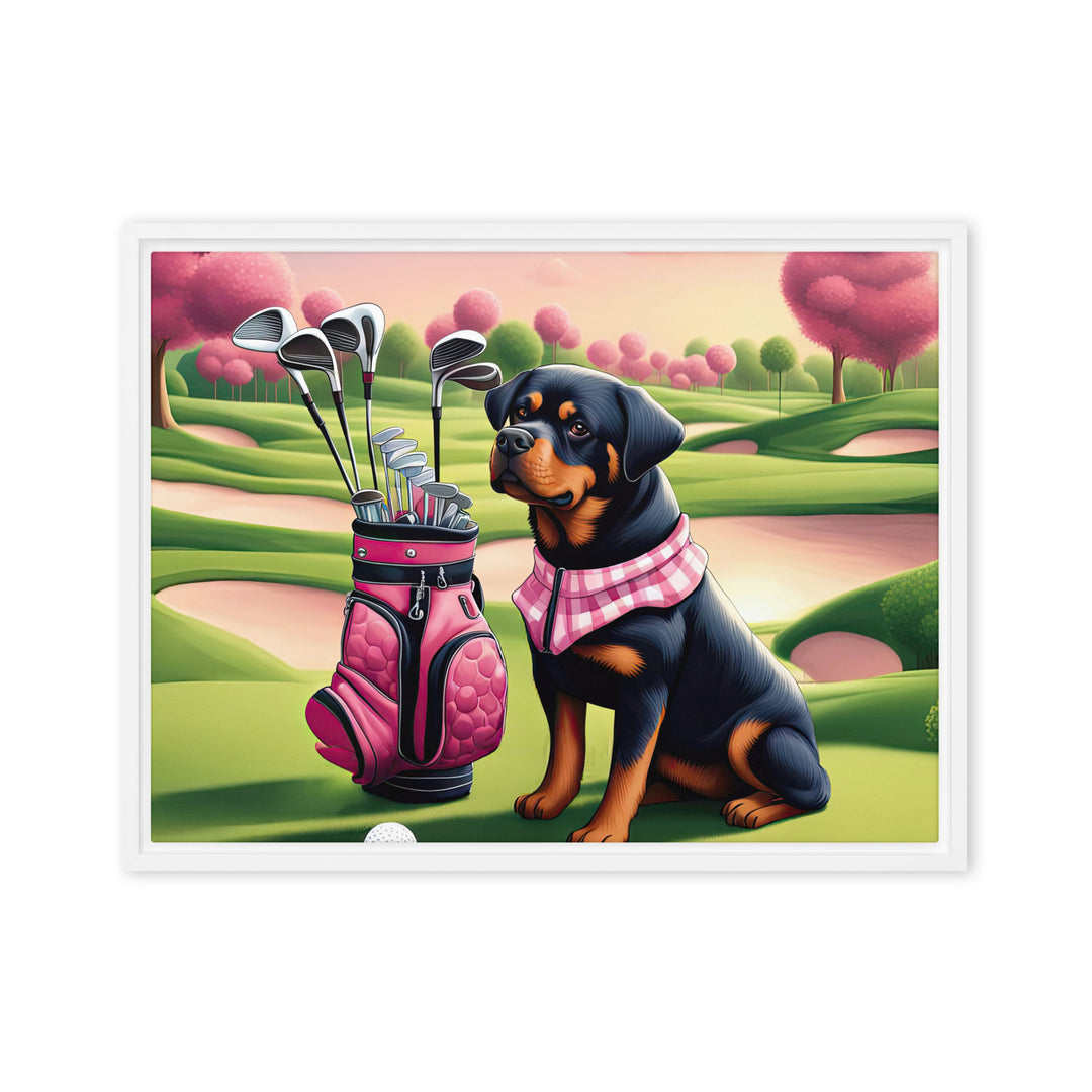 Rottweiler Golfer- Framed canvas