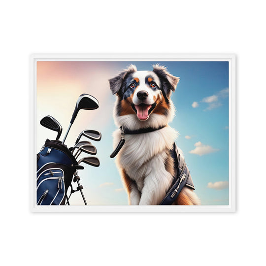 Australian Shepherd Golfer- Framed canvas