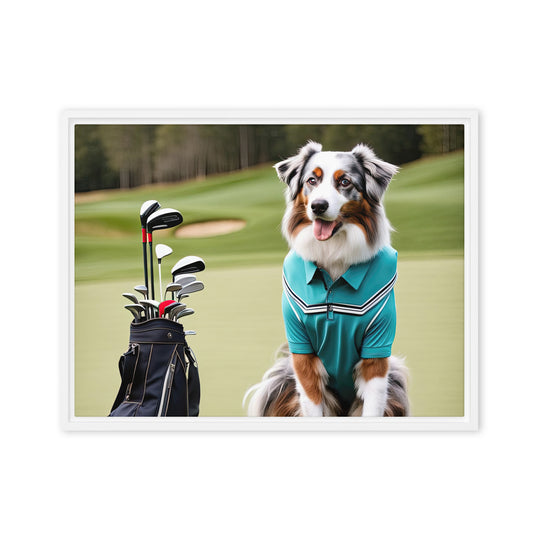 Australian Shepherd Golfer- Framed canvas v4