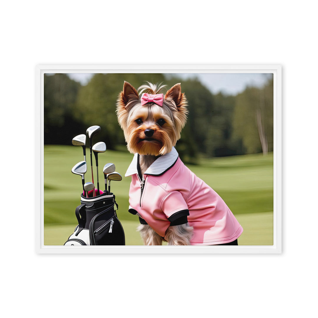 Yorkshire Terrier Golfer- Framed canvas v2