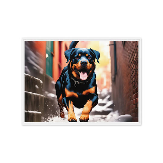 Rottweiler- Framed canvas v2