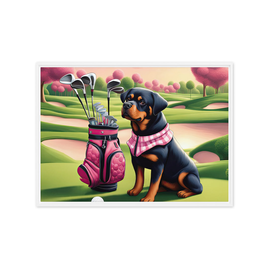 Rottweiler Golfer- Framed canvas