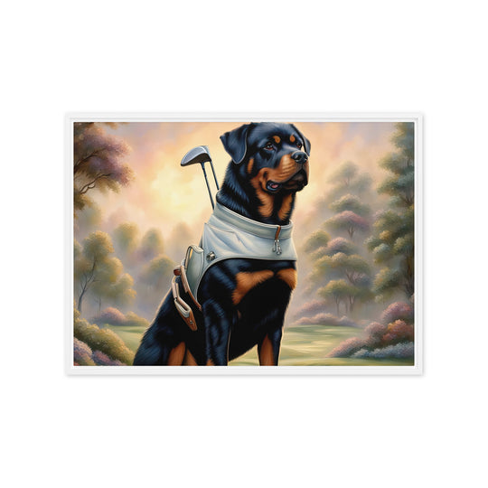 Rottweiler Golfer- Framed canvas v2