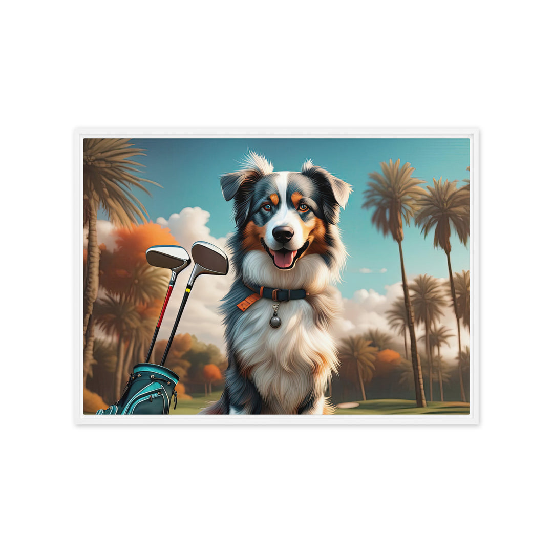 Australian Shepherd Golfer- Framed canvas v2