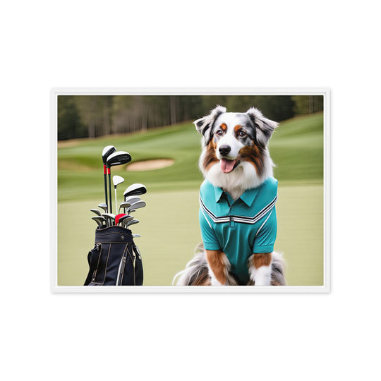 Australian Shepherd Golfer- Framed canvas v4